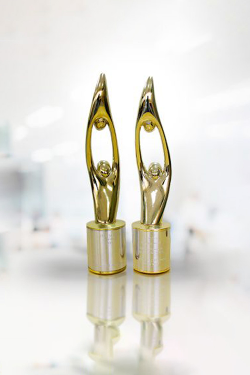 Fidelithy-THE-SERAs-AWARDS